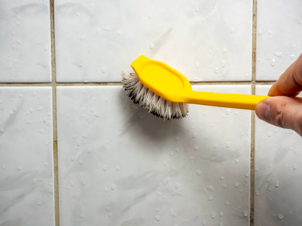 Best Mold Testing and Removal  in Bernie, MO