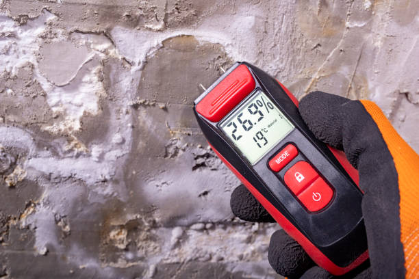 Best Toxic Mold Removal  in Bernie, MO