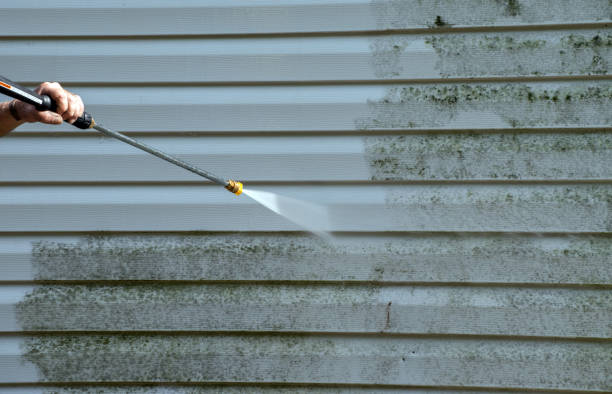 Best Mold Remediation  in Bernie, MO
