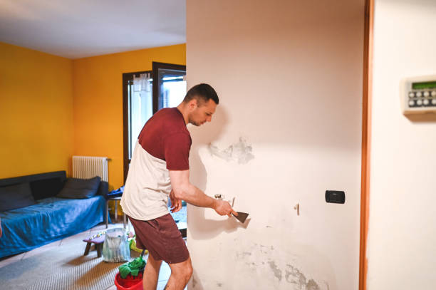 Best Office Mold Removal Services  in Bernie, MO